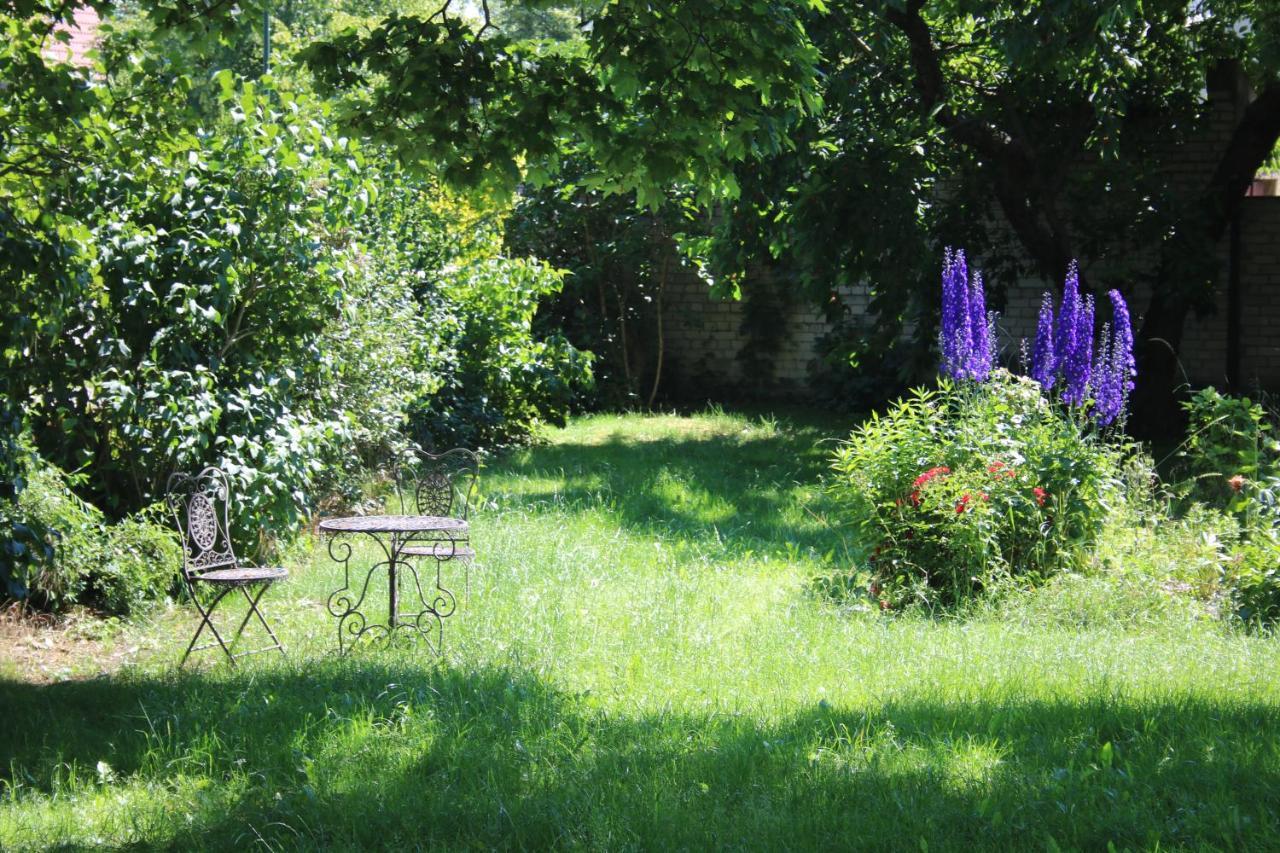 Ferienwohnung Am Weltnaturerbe Grumsin Ziehten Exterior foto