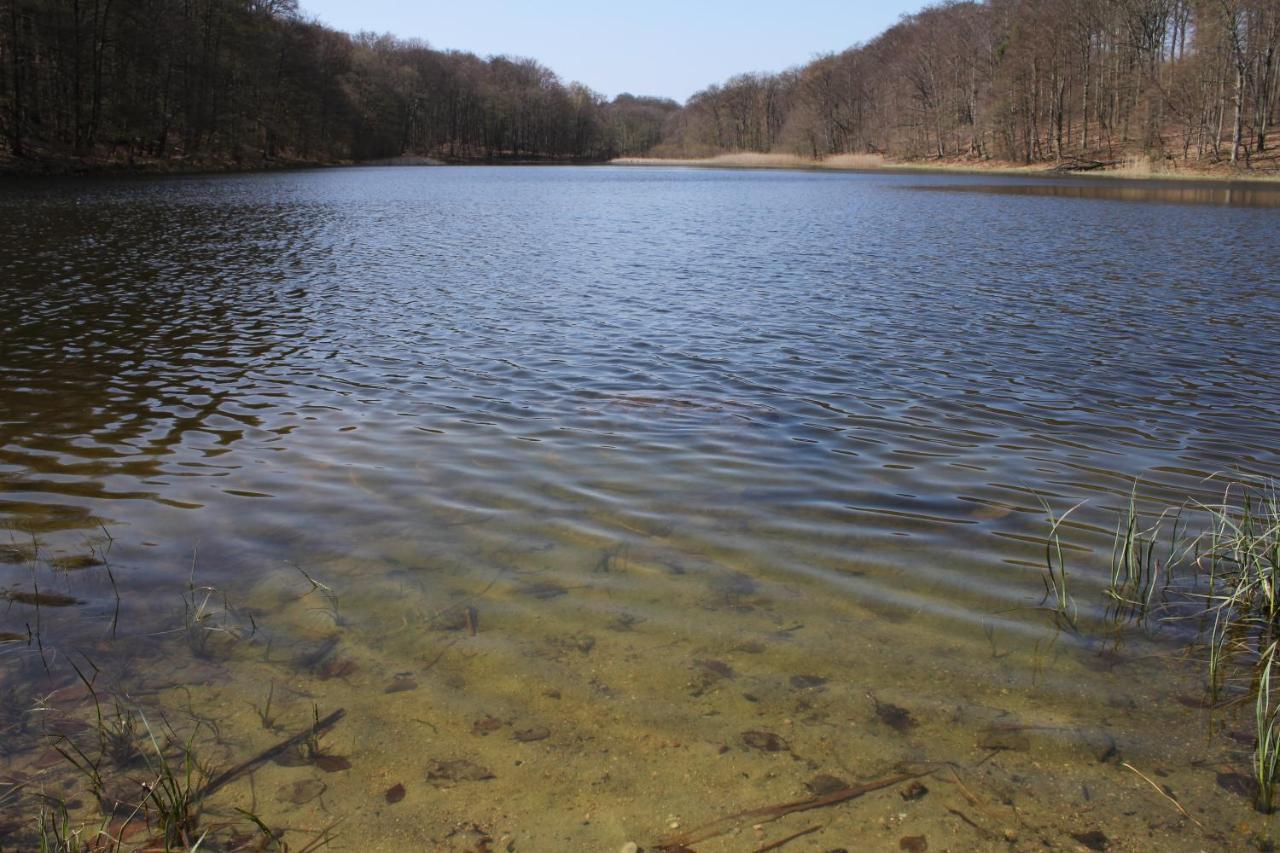 Ferienwohnung Am Weltnaturerbe Grumsin Ziehten Exterior foto